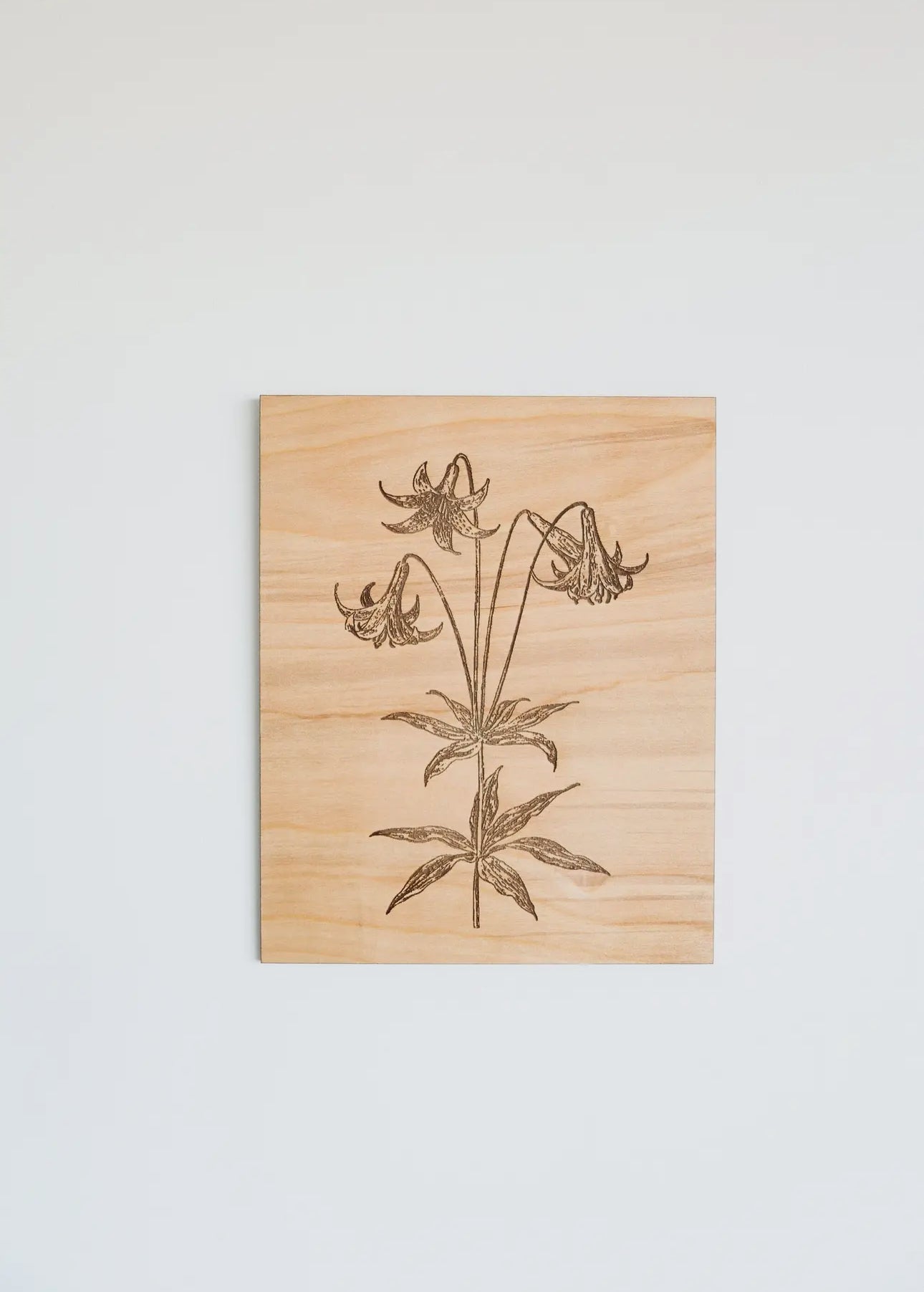 Wooden panel wall art (various)