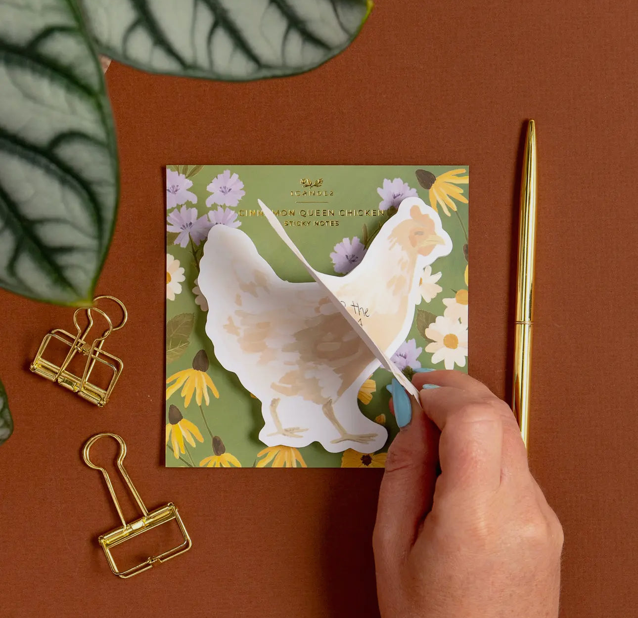 Chicken sticky notes