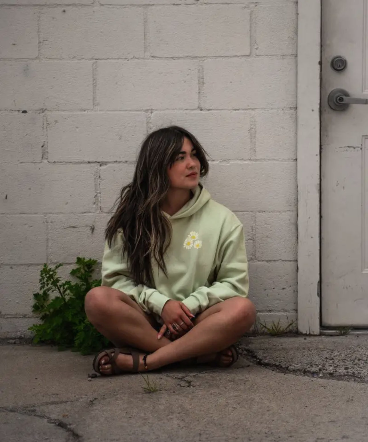 Daisy days hoodie (front and back print)