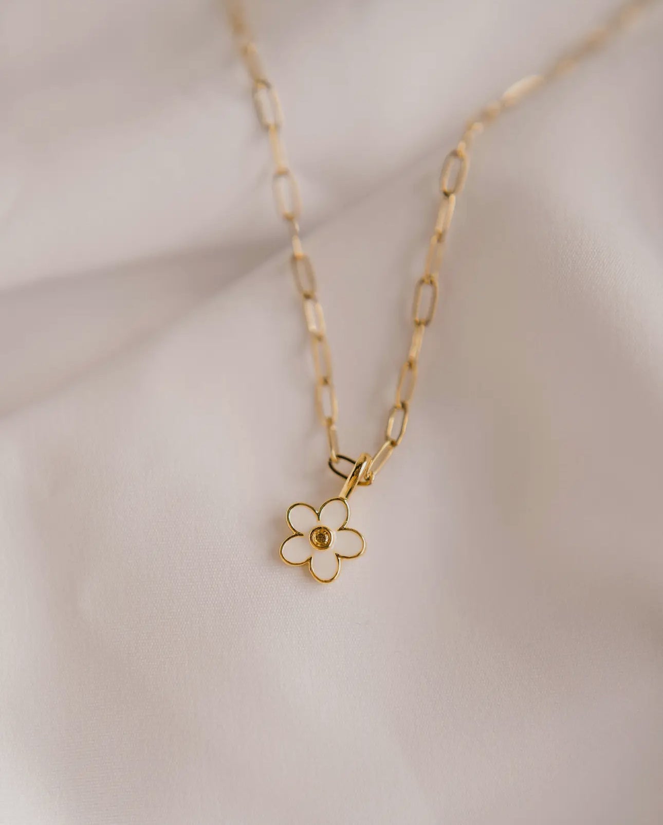 Chain link necklace with charm (various)