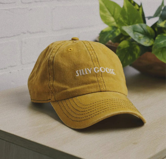Embroidered baseball cap (various)