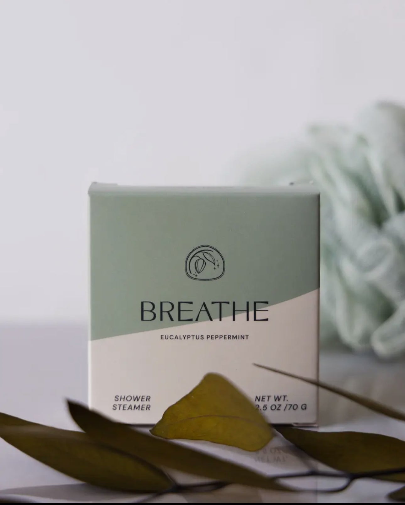 Shower steamer (various)