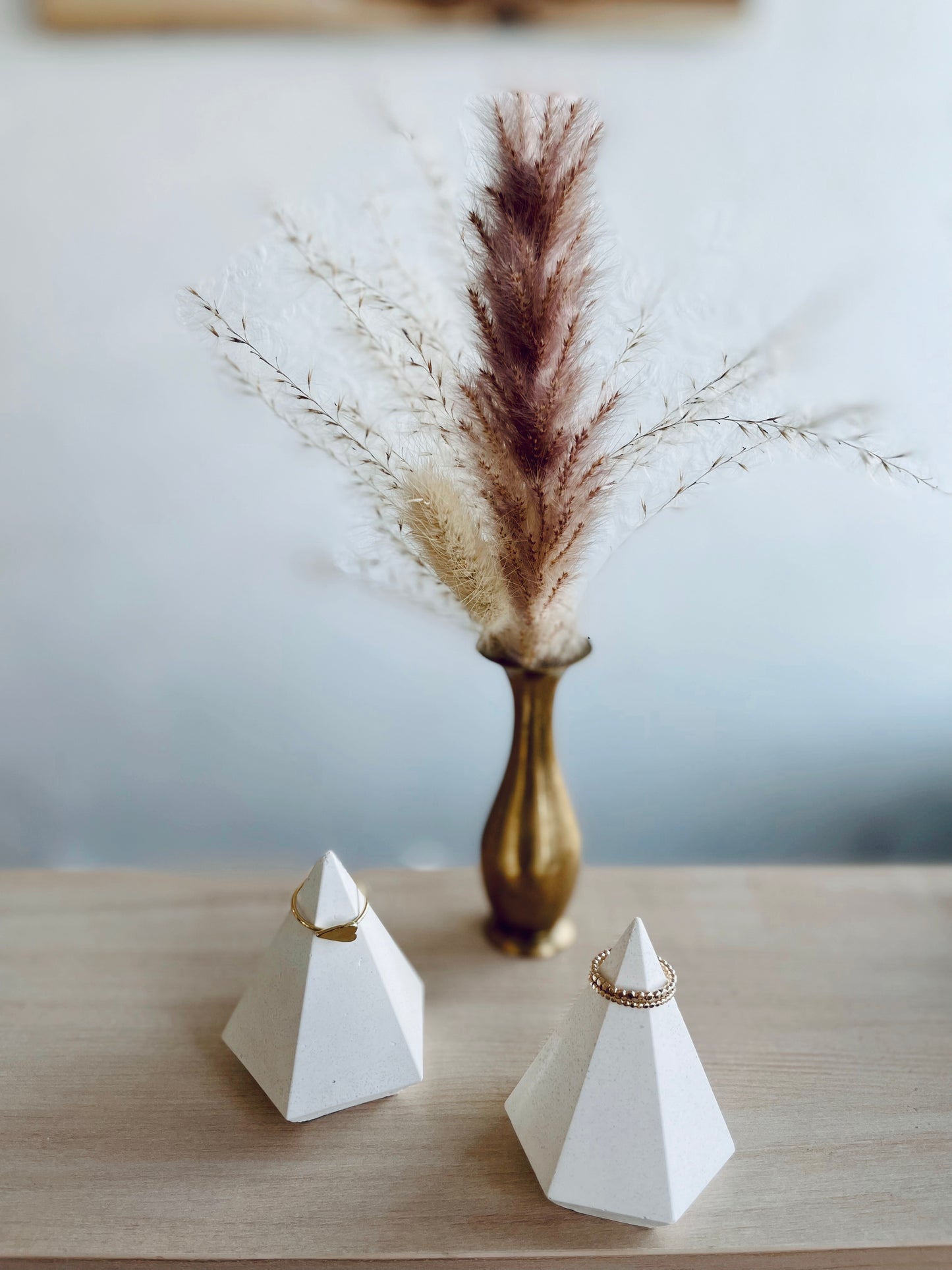 Concrete ring holder