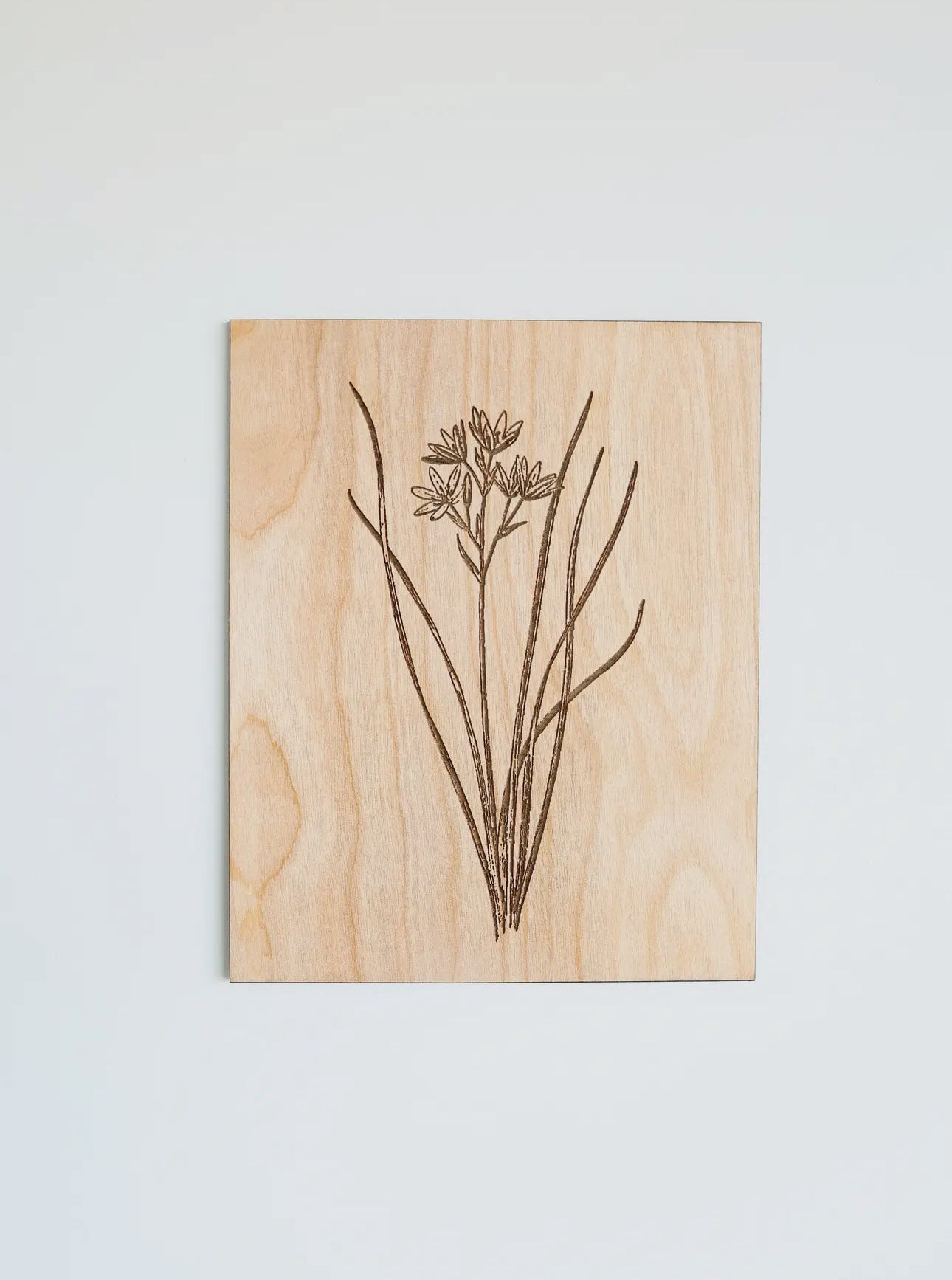 Wooden panel wall art (various)