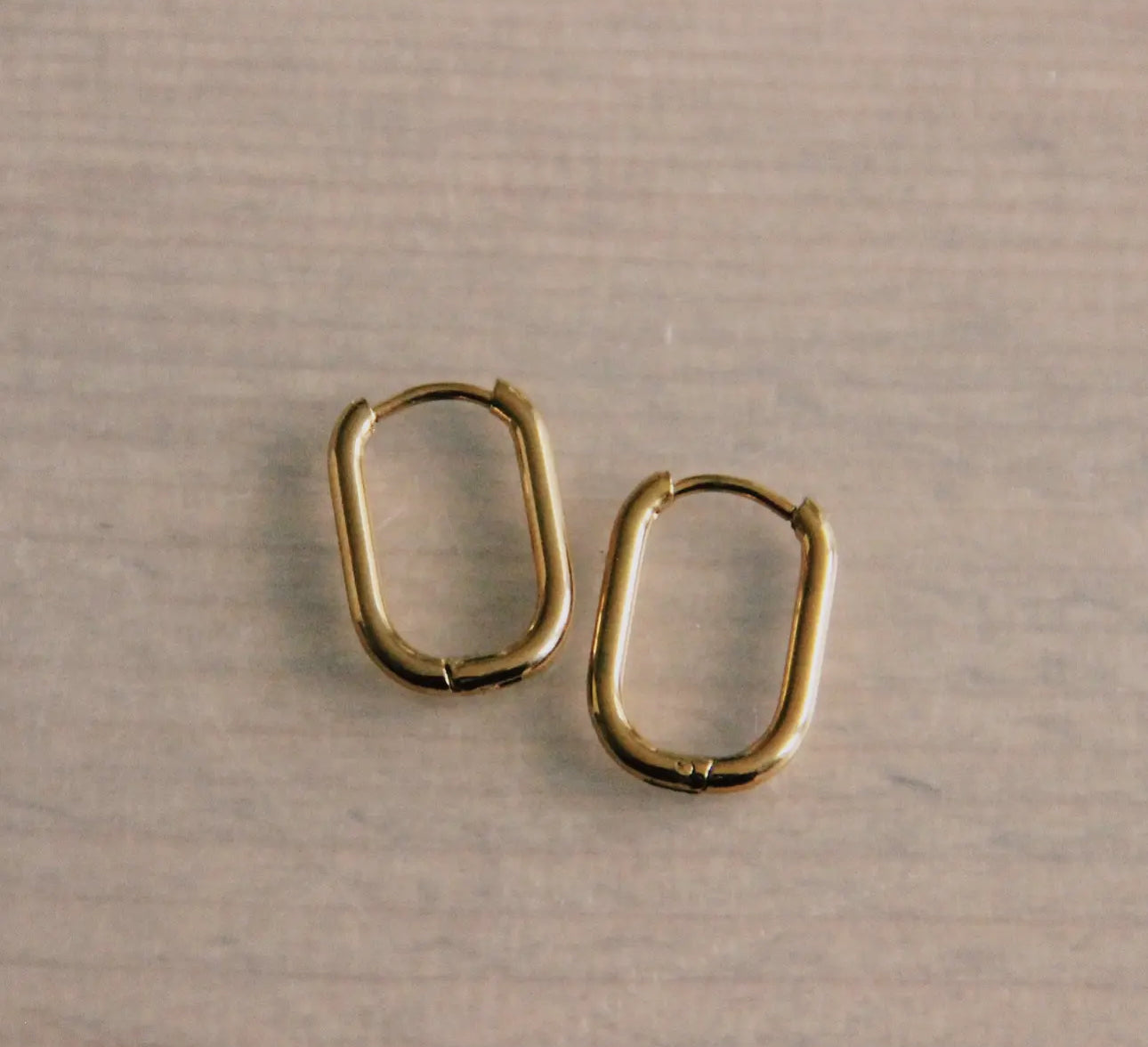 Stainless steel oval hoops