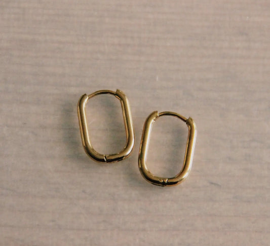 Stainless steel oval hoops